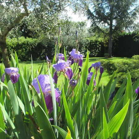 Candy Ap.-near Center,bus,beach+free Parking Place *