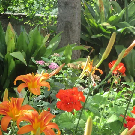 Candy Ap.-near Center,bus,beach+free Parking Place