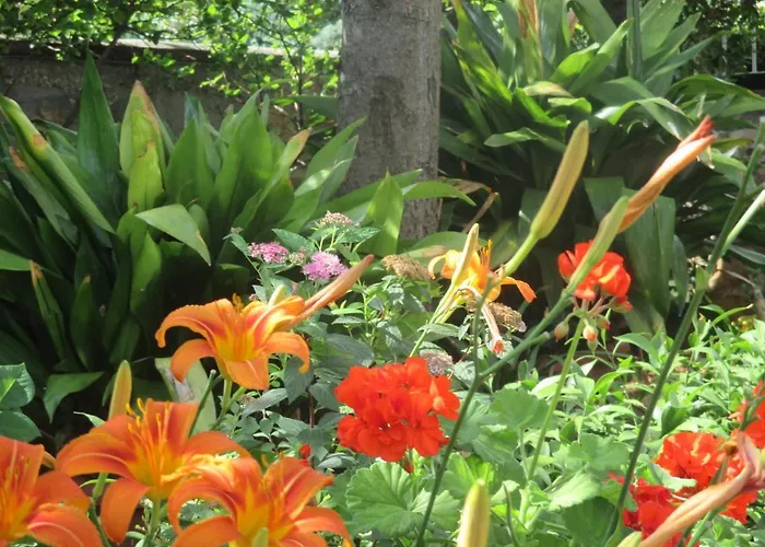 Candy Ap.-near Center,bus,beach+free Parking Place