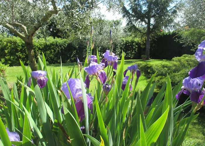 Candy Ap.-near Center,bus,beach+free Parking Place *